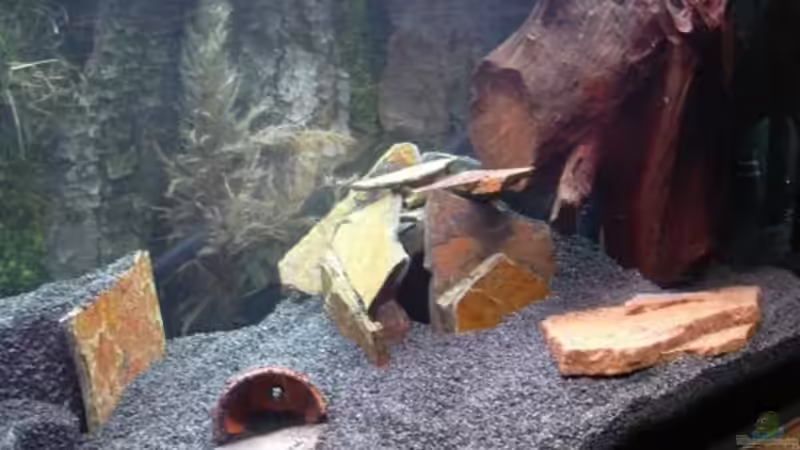 sieht doch schon besser aus von Sado-Uwe (26)