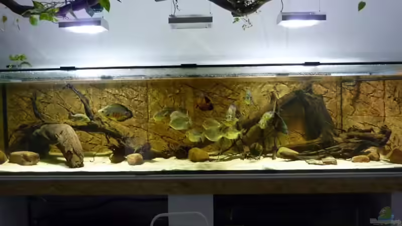 Sieht doch schon ganz gut aus...fehlt noch die Verkleidung. von aquazonica (13)