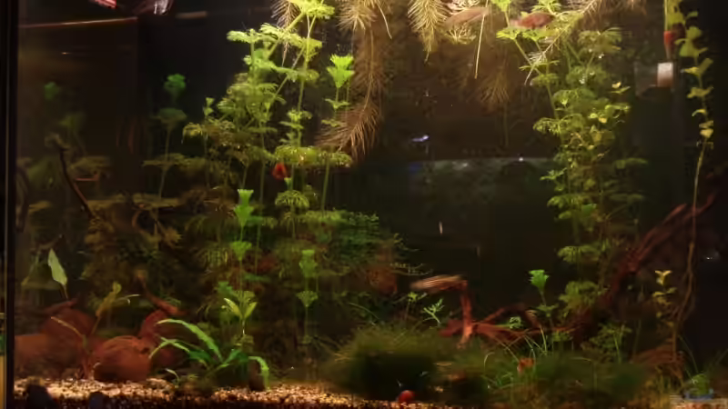 Sieht immer mal anders aus von aetti (2)