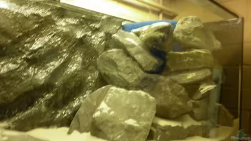 Sieht instabil aus, hat aber den Rütteltest mit 1+ bestanden :-D von Julien Preuß (36)