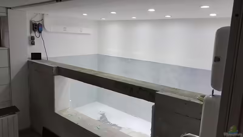 Sieht ziemlich klinisch aus von Thomas Michel (36)