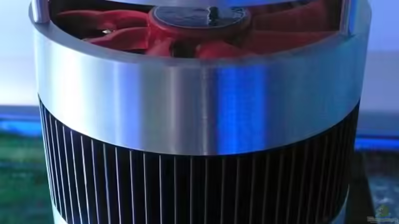 Einrichtungsbeispiele für Aquarien mit Kühlung