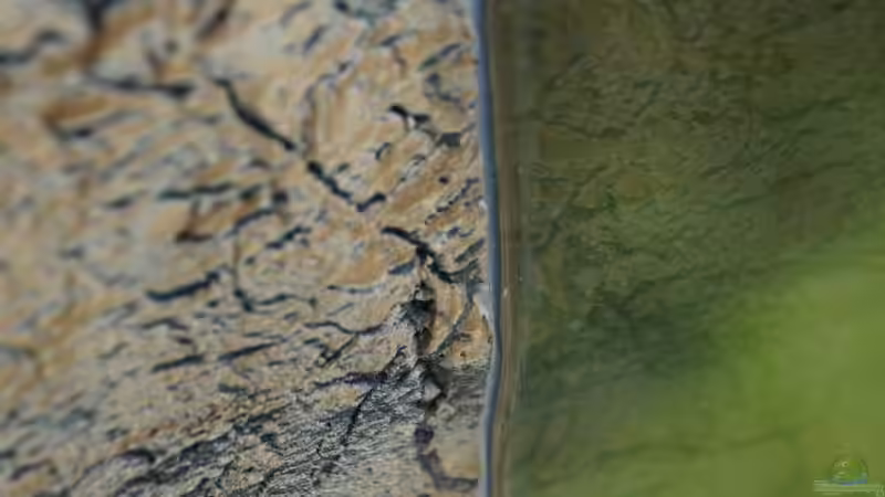 Silikon von Heiko Bertsch (12)