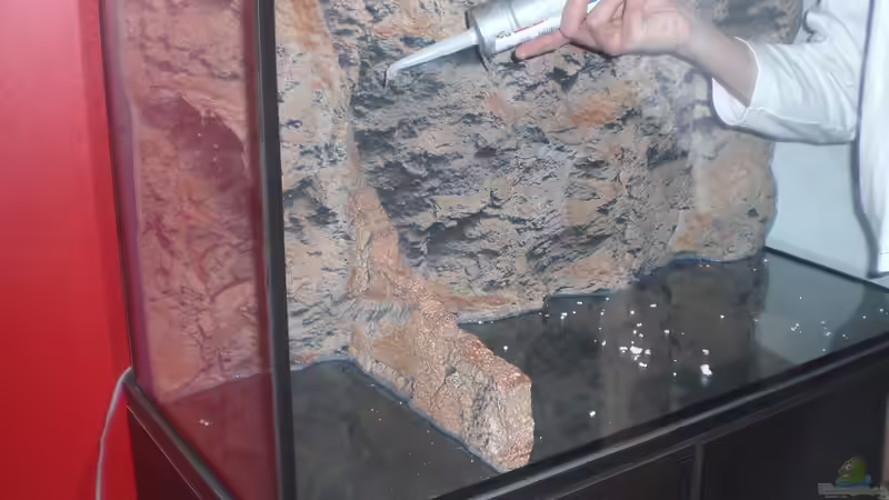 Aquarien-Silikon verwenden (Einrichtungsbeispiele mit Silikon)