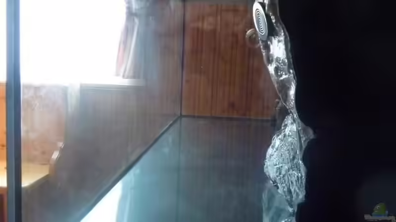 Silikonierte Seitenscheibe von DER YBBSTALER (16)