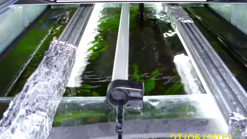 Simu-L (mitte) von GHL für Mond/Sunrise/Gewitter von Günther Kröger (38)