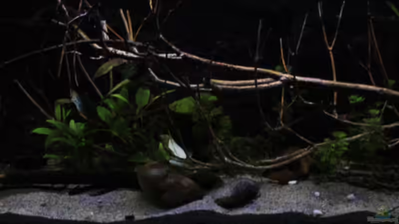 Simulierter Sonnenaufgang von Florian Bandhauer (4)