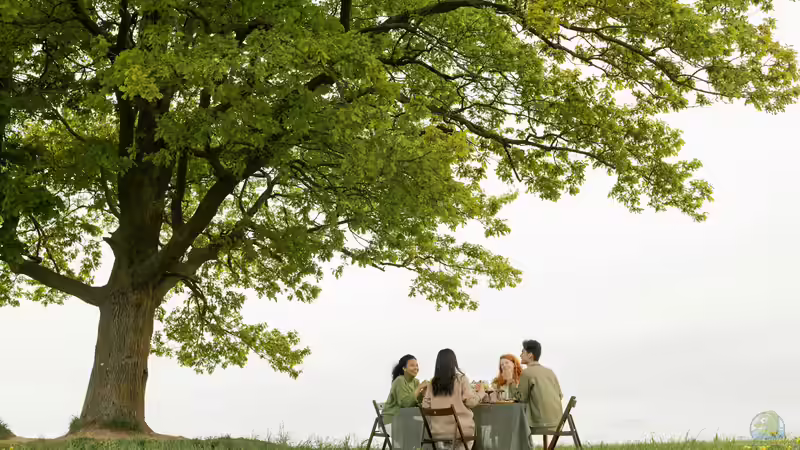 Sind Eichen für den Garten geeignet? Eigenschaften, Vorteile, Herausforderungen und praktische Erfahrungen