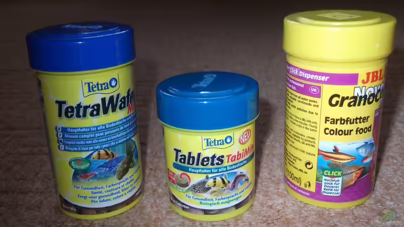 sinkendes Futter für Bodenfische von Maggie Blue (22)