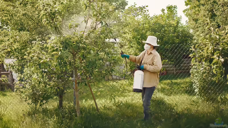 Sinnvolle Schutzkleidung bei der Gartenarbeit