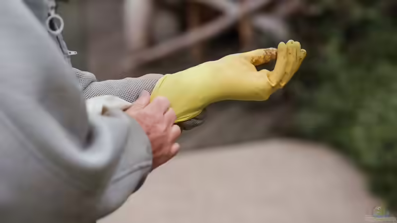 Sinnvolle Schutzkleidung bei der Gartenarbeit