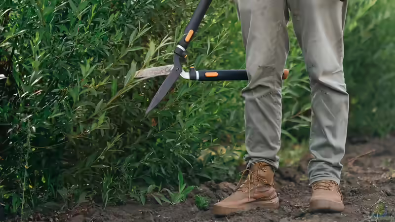 Sinnvolle Schutzkleidung bei der Gartenarbeit
