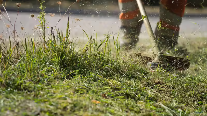 Sinnvolle Schutzkleidung bei der Gartenarbeit
