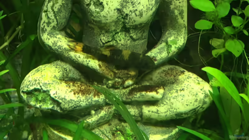 Sitzgelegenheit  von Christian Bernreiter (25)