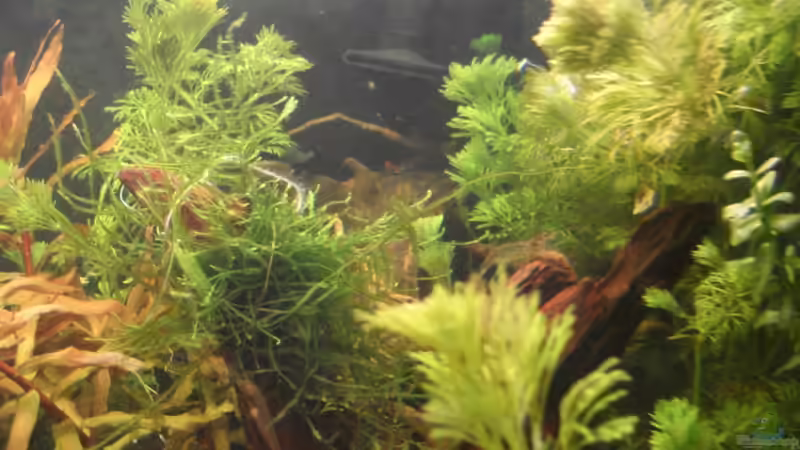 Sitzplätze in starker Strömung von Susanne Kruse (14)