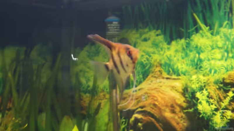 Skalare von Andre Schreiter (20)