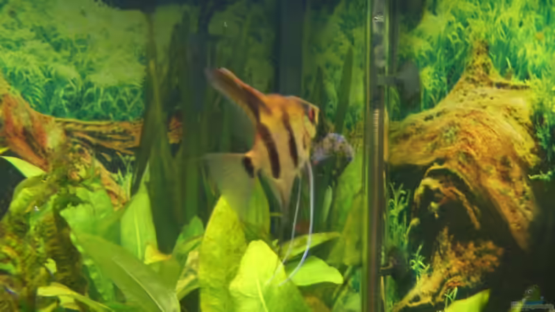 Skalare von Andre Schreiter (21)