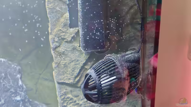 Skimmer und Strömungspumpe alt von Stefan von Oettingen (27)