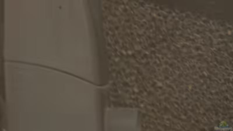 Skimmer von MHu (10)