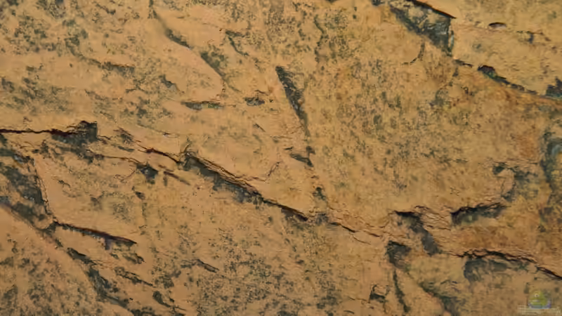 slim-line von Lars Schnabel (7)