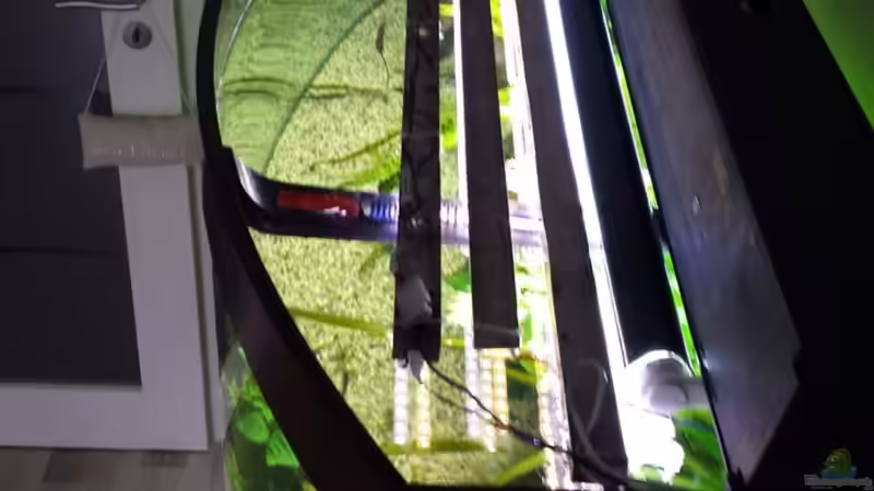 SMD auf 3 Edelstahlleisten von Martin (10)