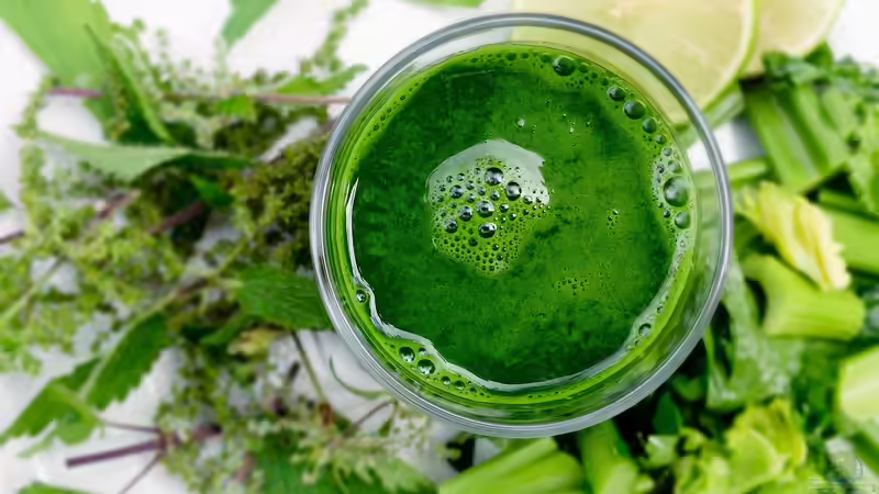 Smoothie aus dem eigenen Garten - Frische, Geschmack und Gesundheit im Glas