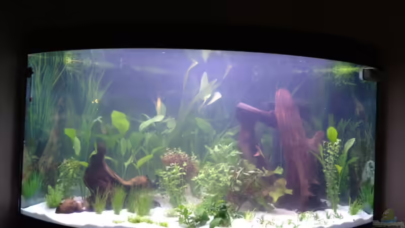 so, fertig eingerichtet von Nebukadnezar2k (3)