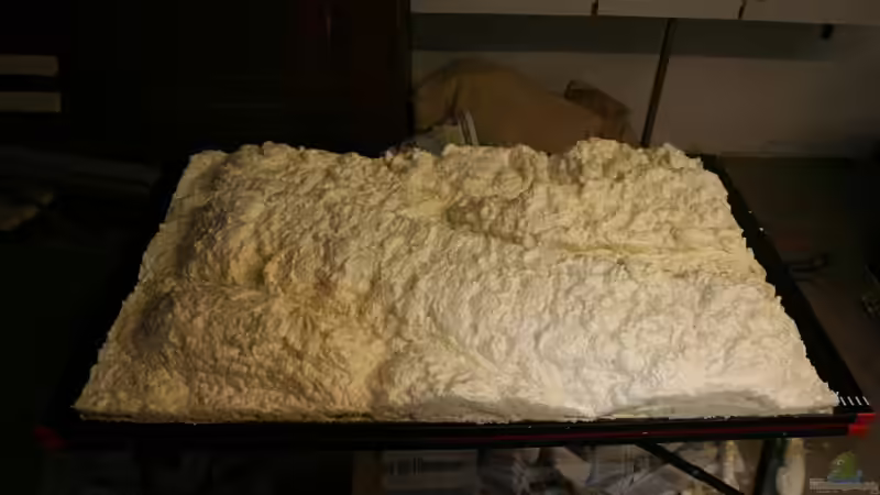 So alles fertig auf Beckeninnenmaße gebracht von @mazonas (36)