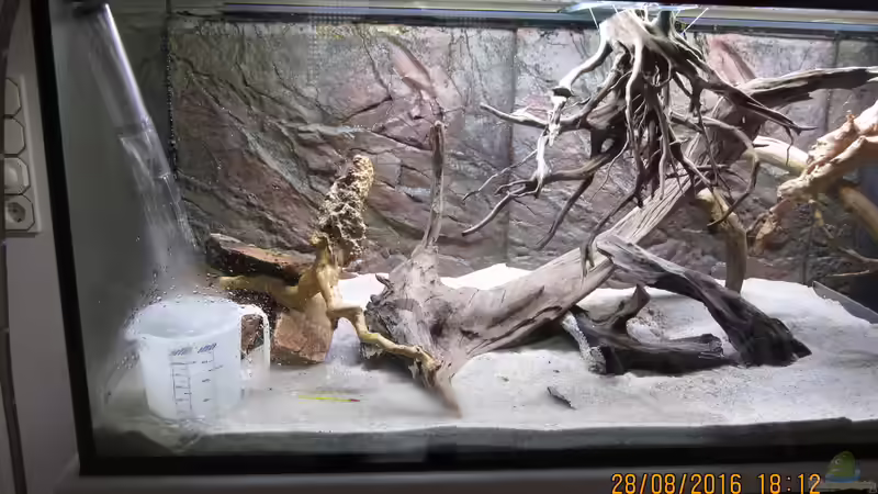 So bleibts, Wasser marsch, eingefüllt wird mit dem In-und Out System von JBL von Ottche (13)