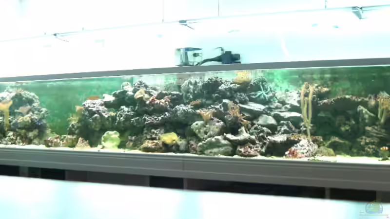 so ein jahr später von Zornrocco (4)