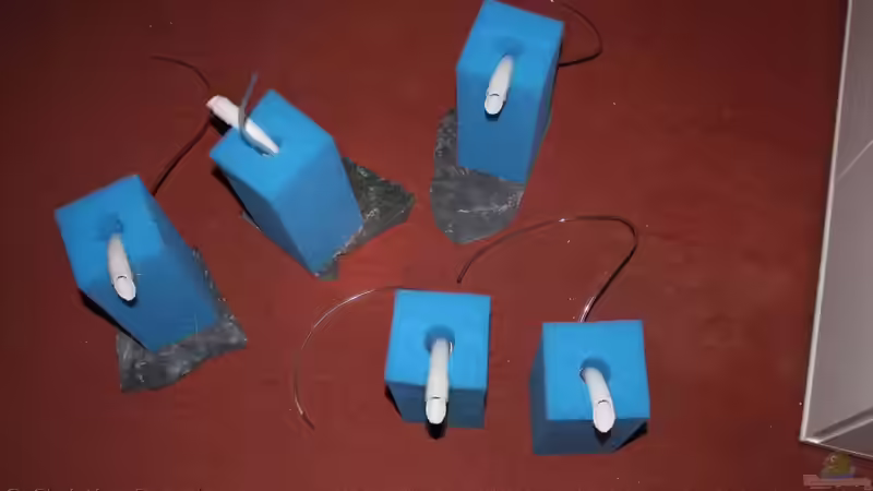 So ein Luftheber ist im Einsatz von chrisi01 (16)