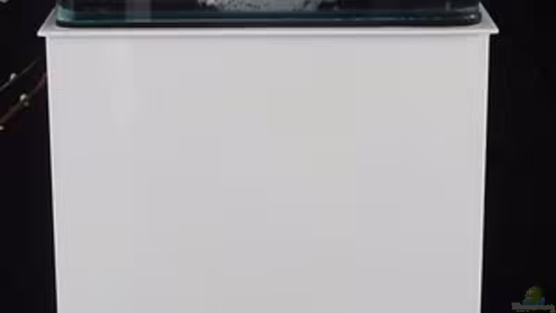 So fing alles an von Nano Sonny (8)