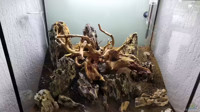 So fing dann alles an  von Richard Haberkorn (4)