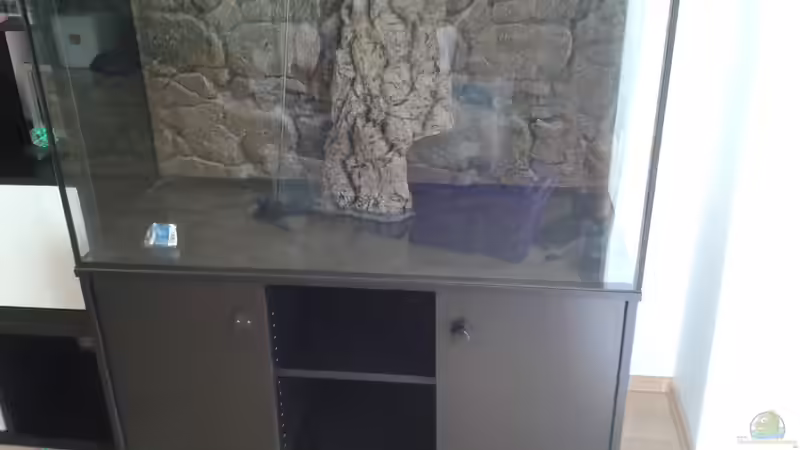 So fing es an. Neues 120x50x60cm Aquarium für 50??? bei Ebay ersteigert. von ~Marco~ (36)
