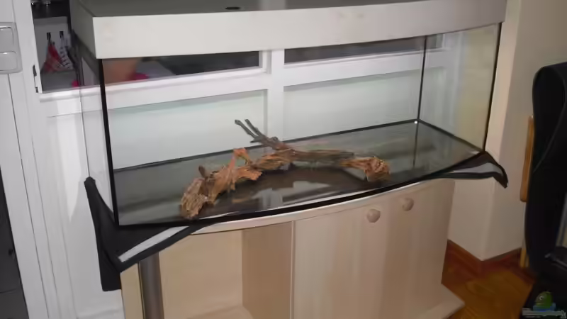 So fing im März 2010 alles an. Inzwischen Neueinrichtung März 2011. von nemo0109 (2)