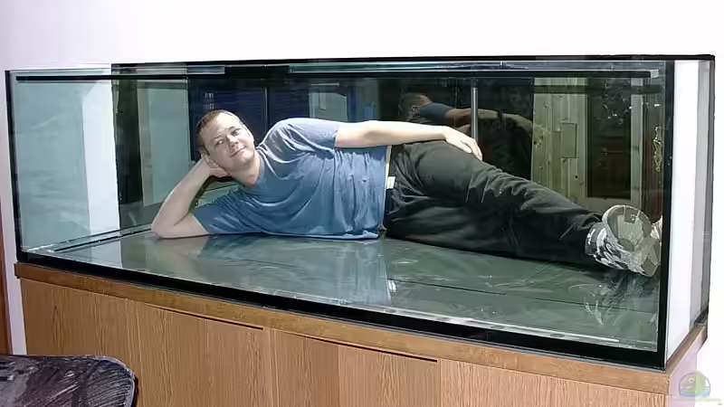 So fühlt man sich als Fisch... von Ingo (2)