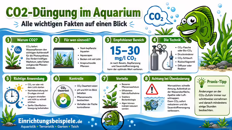 So funktioniert die Düngung mit CO2 im Aquarium