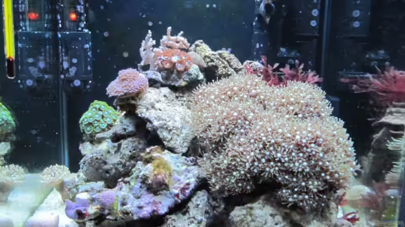 So ganz aktuell  von Haens84 (9)