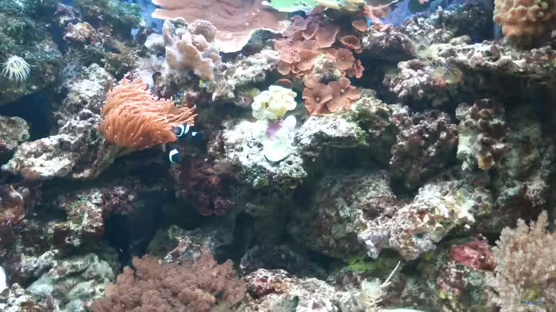 So ganz langsam wird`s ja ;-) von Thorsten John (11)