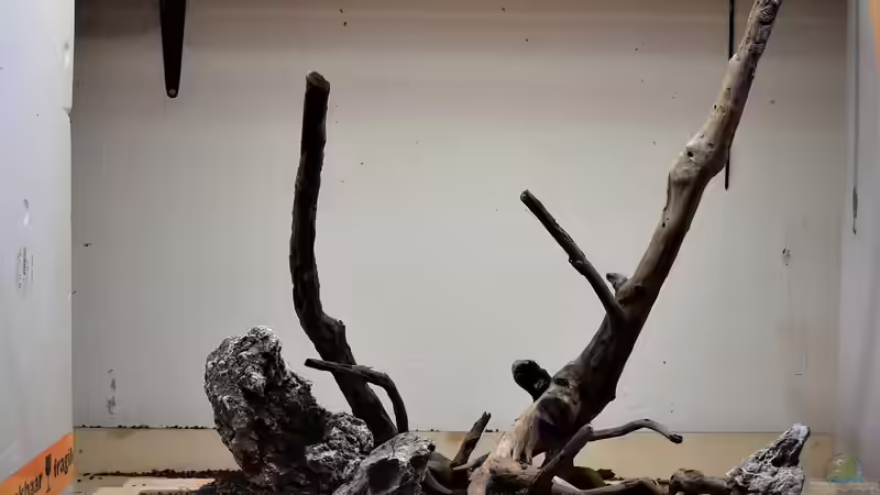 So gings los von Junglist (7)