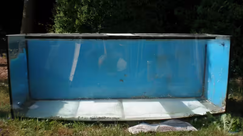 So hab ich das Becken gekriegt von Udo Lehr (11)