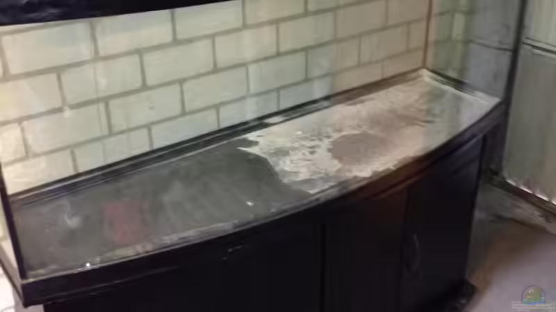 So hab ich es abgeholt  von Mondamin (17)