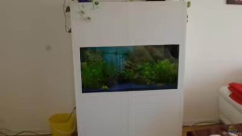 So habe ich am 14 März angefangen von Holzi (5)