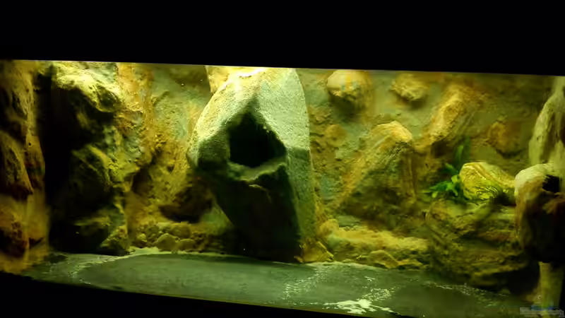 So habe ich das Aquarium überreicht bekommen von Franek (30)