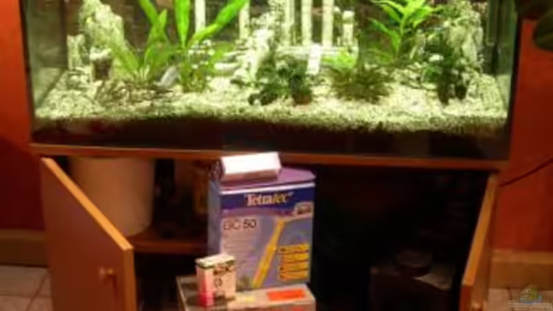 So habe ich das Becken übernommen. AHHHHH Schrei!! von Zwanni (11)