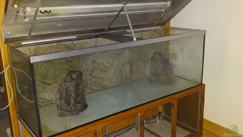 So habe ich das Becken vom Vorbesitzer übernommen von Yvonne Storms (2)