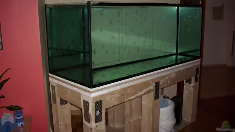 So hat alles angefangen von Andre Rohde (3)