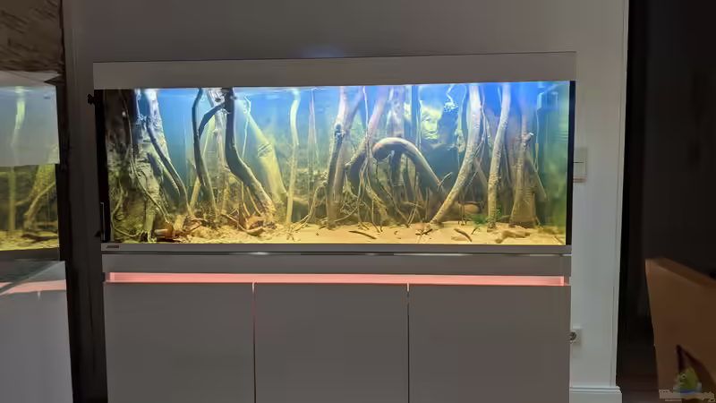 So hell ist es nicht, nur für die bessere Darstellung der Gestaltung von Hedylein (3)