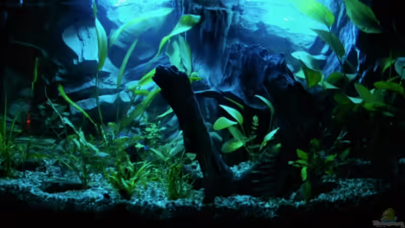 so hell ist mein Nachtlicht nicht! ...Langzeitbelichtung von Torsten Märtke (2)