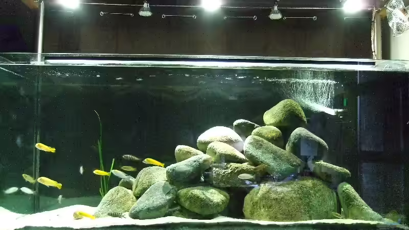 So hell können 6W sein! von Hans Schmucker (4)